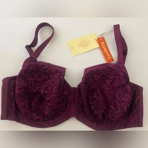Luvlette 75E Burgundy Lace Bra Padded Underwire Full Coverage NWT